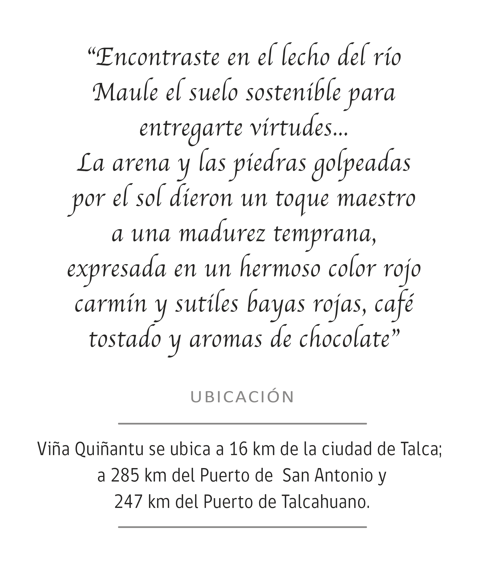 TEXTO11